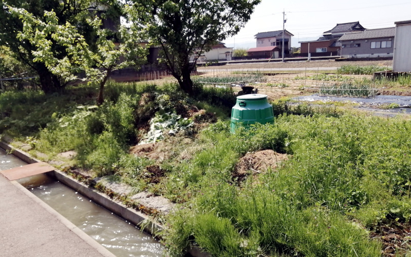 空き地除草前